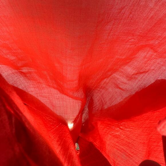 Vintage Loubella Extendables Blouse Womens Size 10/11 Red Sheer Red Button Up - Picture 7 of 15